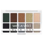 Color Icon 10 Pan Palette No. 076E Lights Off