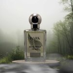 Aνδρικό Άρωμα Τύπου HOUGO BOSSE 50ml-No 311