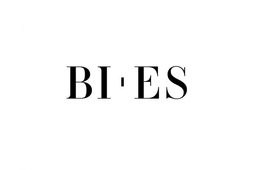 bies-logo